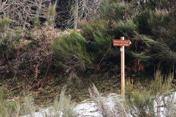 How to Create a Durable Path Using Recycled Bricks in a UK Country Garden?